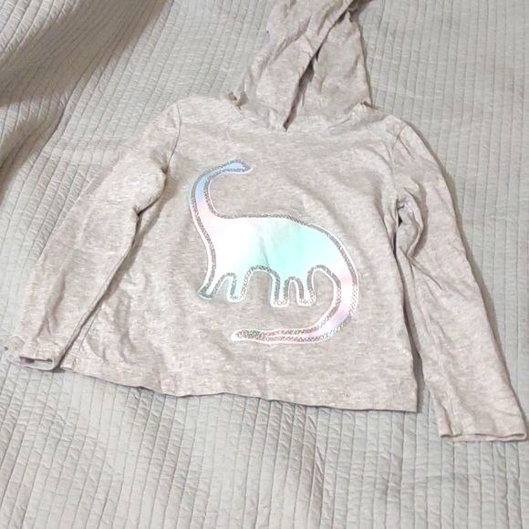 Carter's Other - Carter's Toddler Girl's Dinosaur Hooded Shirt Size 5T